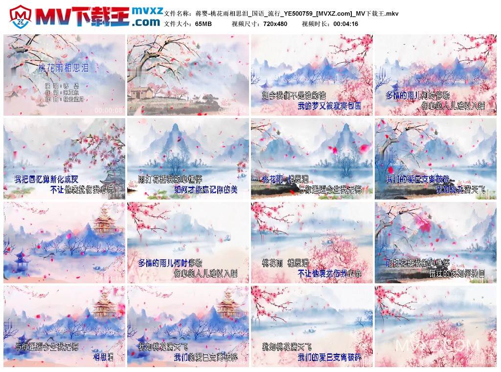 蒋婴-桃花雨相思泪_国语_流行_YE500759